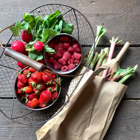 Yummii Yummii Bento Rounds Small/Medium Bento Rounds Stainless Steel 18/8