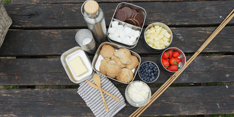 PICNIC I ALT SLAG VEJR
