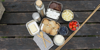 PICNIC I ALT SLAG VEJR