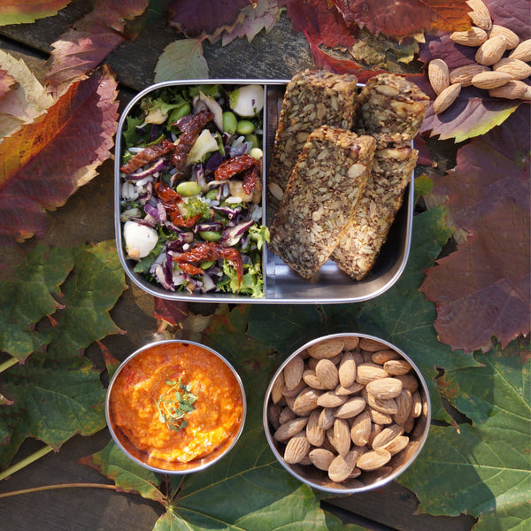 Bento Rounds Small/Medium